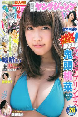 漂白电视剧全集免费观看中文版